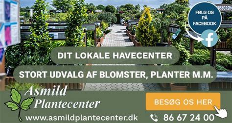 blomsterhandler hirtshals|Planteskole / blomsterhandler i Hirtshals – Se top 10 Planteskoler ...